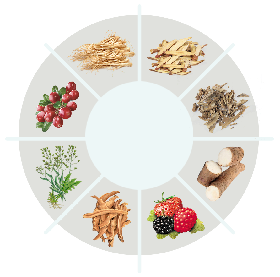 PureFeet ingredients circle